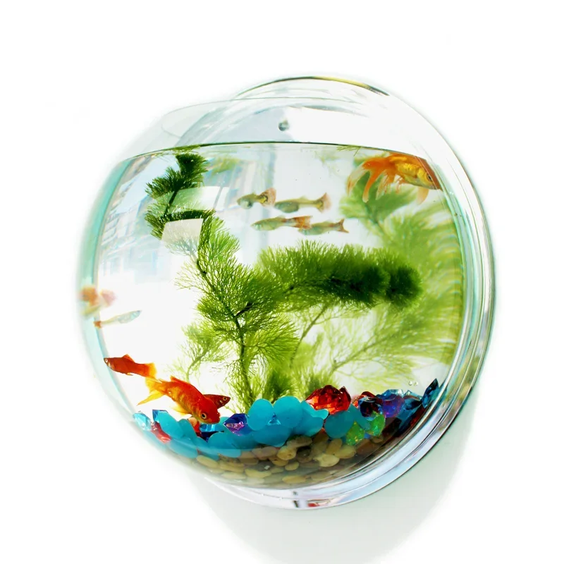 Betta Fish Tank - Pinsjar Akrylowa miska na ryby Wiszący