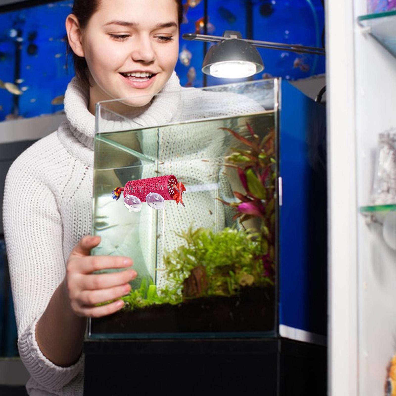 Ozdoba do akwarium Betta, tune – Betta Fish Tank recenzja i cena