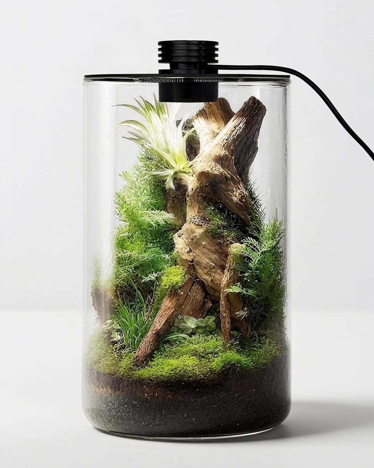 Szklane terrarium wewnętrzne z – Betta Fish Tank recenzja i cena