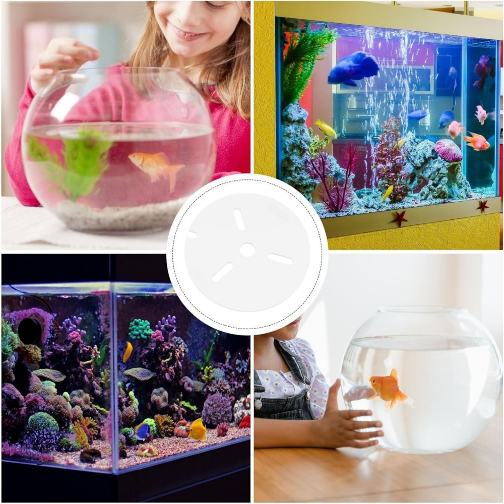 Solidnie dopasowana, przezrocz – Aquarium Fish Keeping recenzja i cena