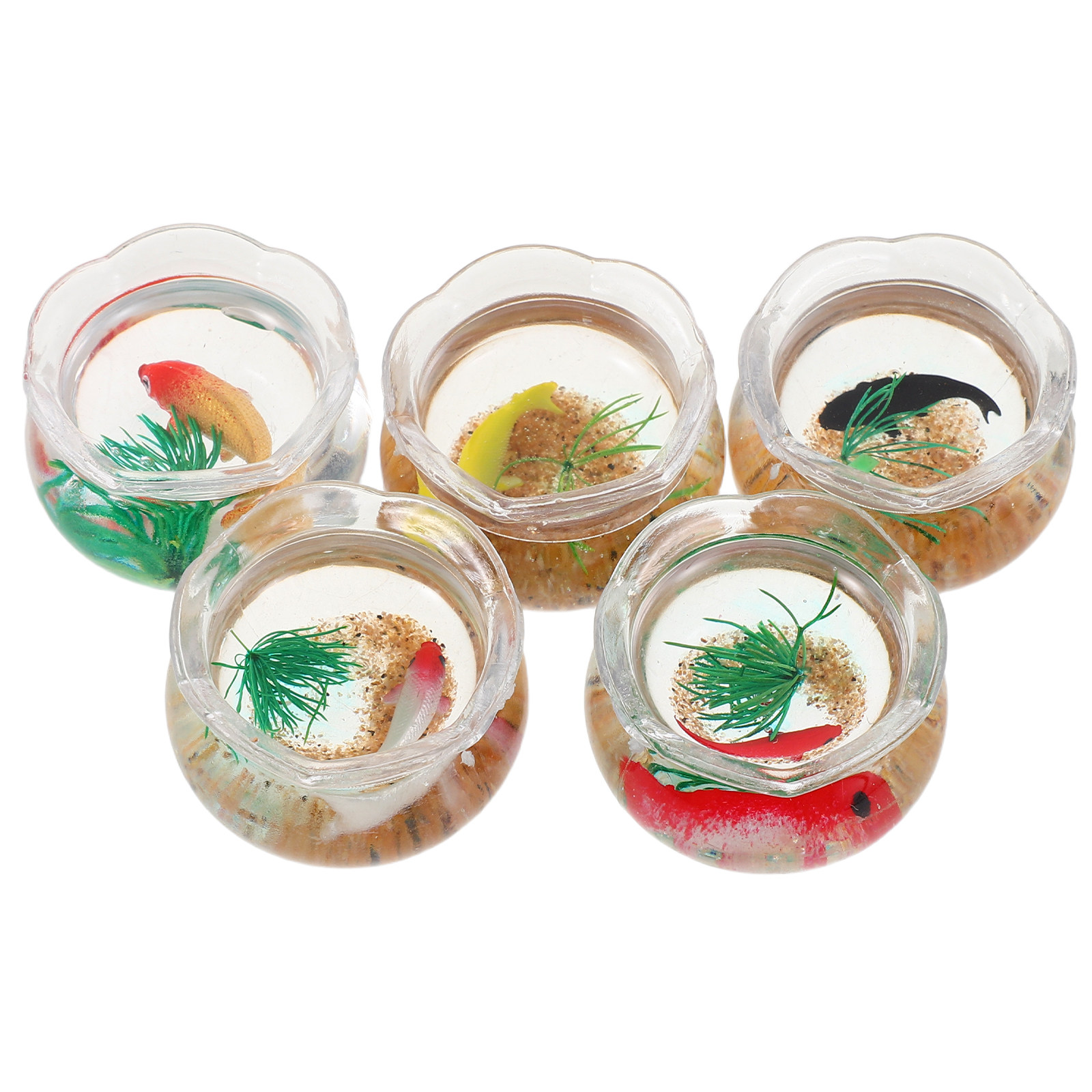 5 szt. Mini miska na ryby, rea – Aquarium Plants recenzja i cena